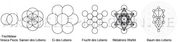Andere Zeichen die aus der Blume des Lebens enstehen